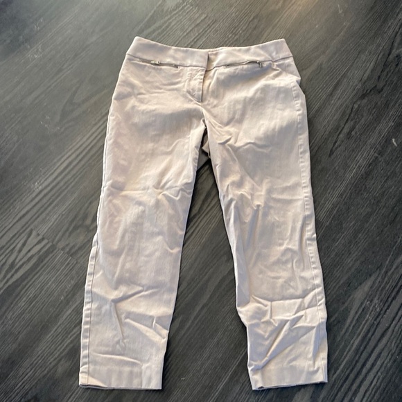 🍍ANN TAYLOR LOFT🍍SIZE 10🍍ankle🍍C-1 - Picture 1 of 3